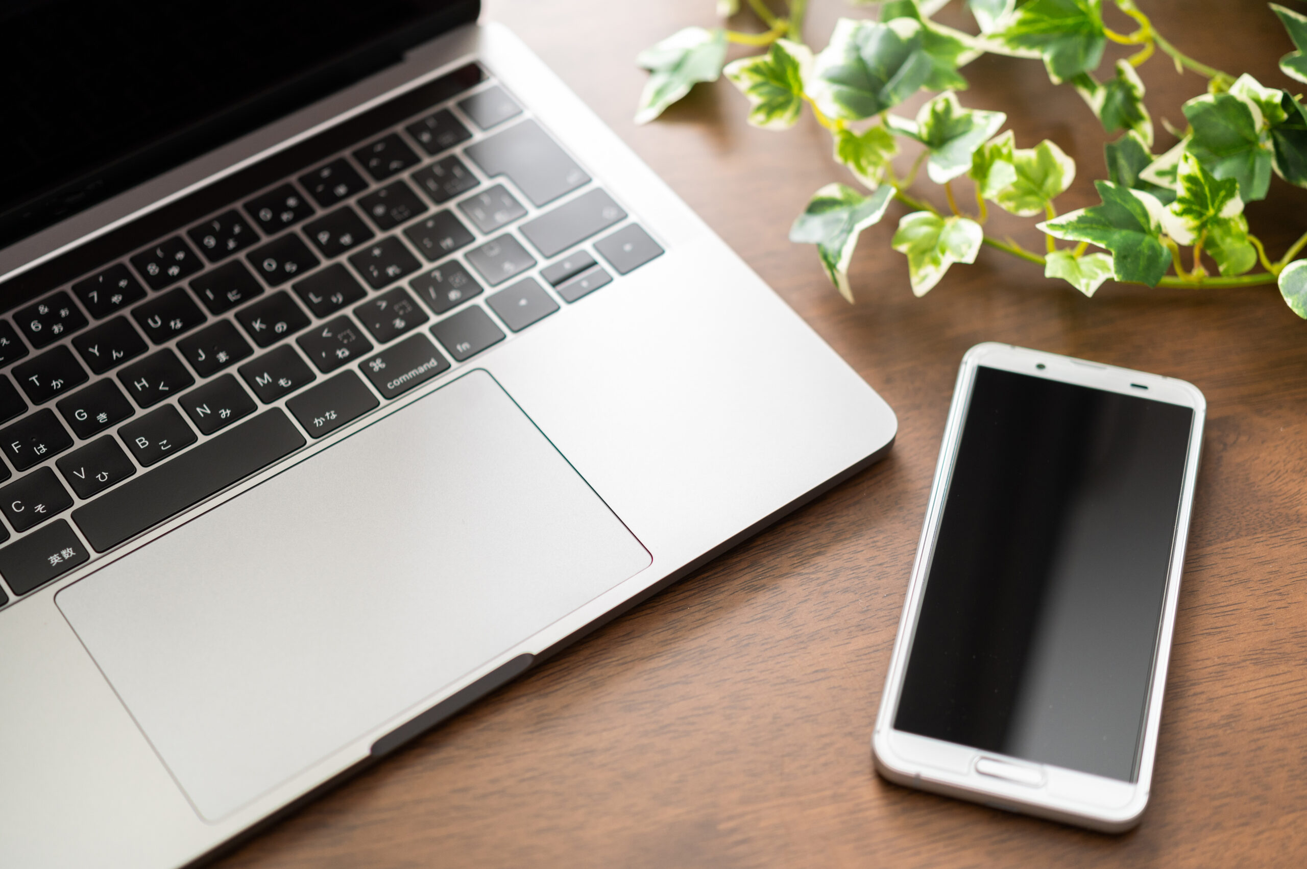 インターネットのイメージの画像